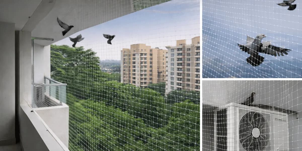 UV-resistant monofilament transparent pigeon nets that exclude pigeons without blocking breeze and light - AJ Safe Net Solutions