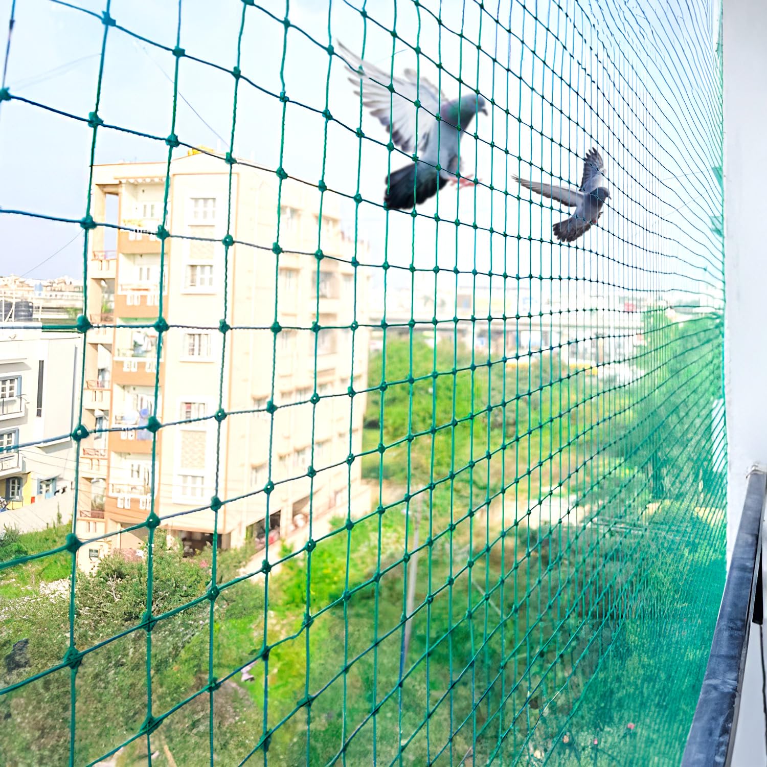 Bird Safety Nets